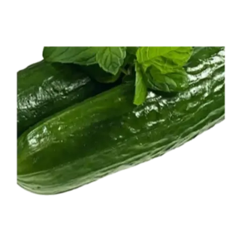 Salatalık