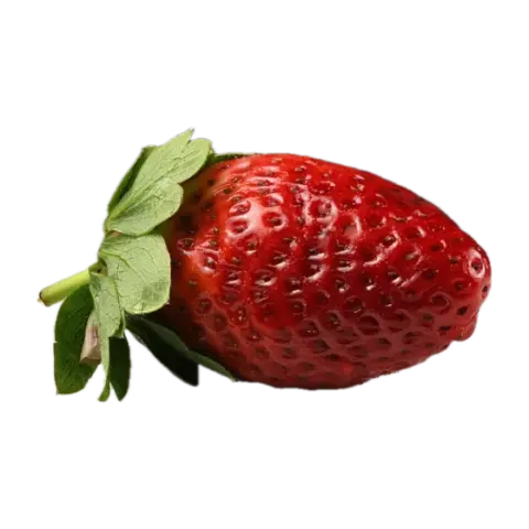Çilek